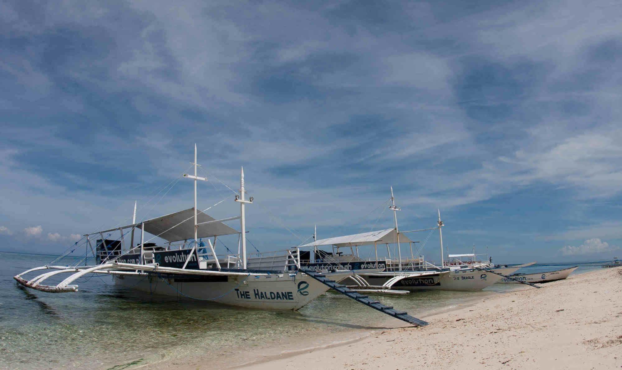 Evolution Dive And Beach Resort Malapascua Extérieur photo